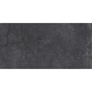 Dutch Design Evolution Black 30X60