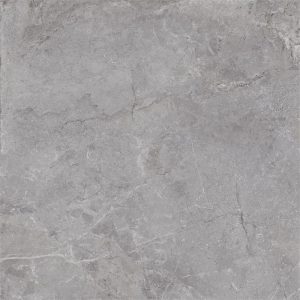 Dutch Design Evolution Grey 100X100