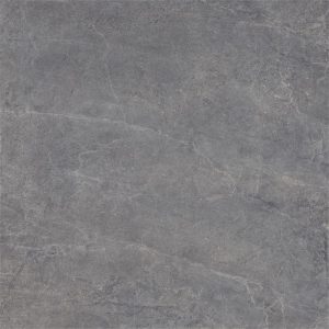 Dutch Design Evolution Titanium 100X100