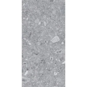 Energieker Ceppo Di Gré Grey 60X120