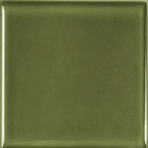 Estudio Metropolis Vivid Green 10X10
