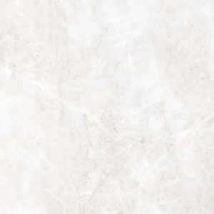 Energieker Taj Mahal Shell Nat. 120X120