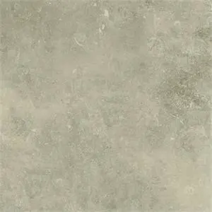 Arvella Absolute