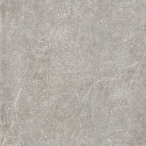 Arvella Pietra Antica Grey 100X100 cm