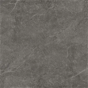 Arvella Pietra Antica Iron 100X100 cm